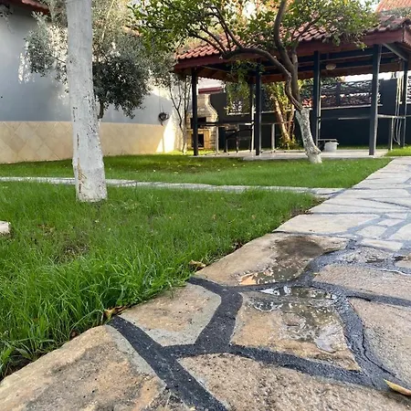 Side Beyazit סייד